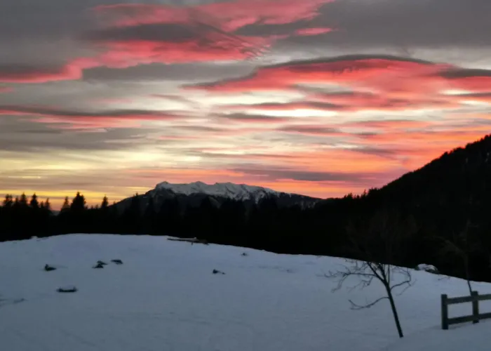 Bed & Breakfast Le Betulle *