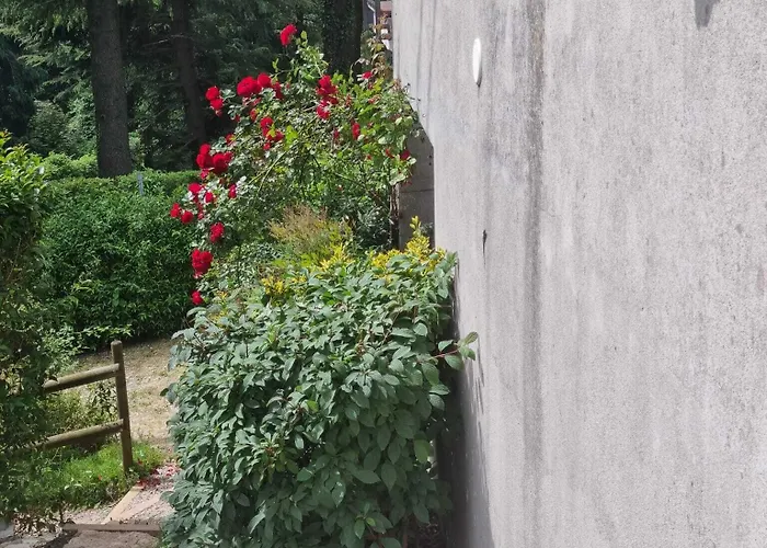 Bed & Breakfast Le Betulle