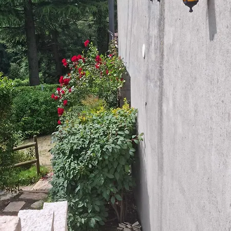 לינה וארוחת בוקר Le Betulle