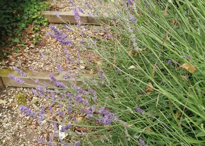 Panzió Le Betulle Romano D'Ezzelino